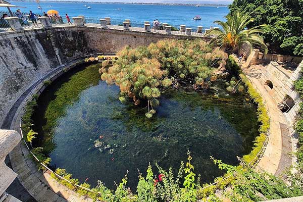 Location appartement Syracuse